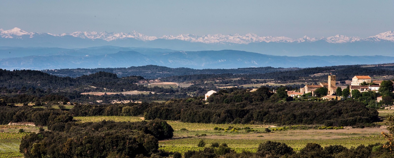 Un bon navet  qu'est ce que c'est ?
