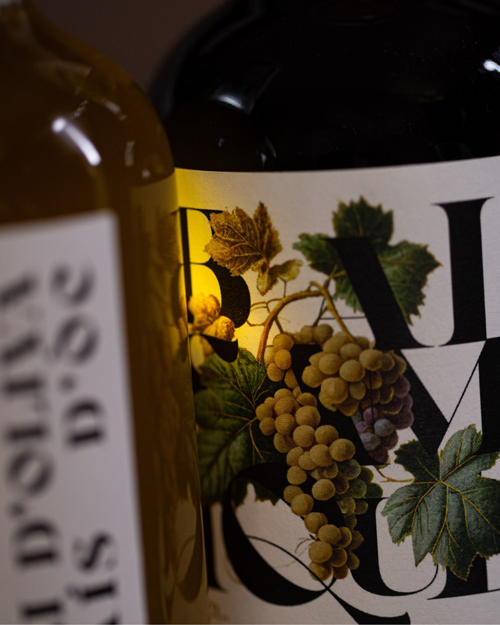 Balsamique - Photo 2